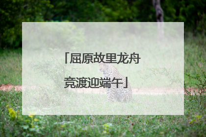 屈原故里龙舟竞渡迎端午