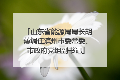山东省能源局局长胡薄调任滨州市委常委、市政府党组副书记