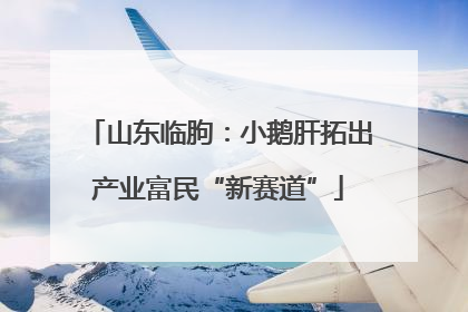 山东临朐：小鹅肝拓出产业富民“新赛道”