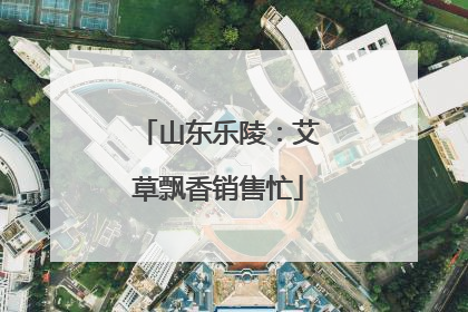 山东乐陵：艾草飘香销售忙