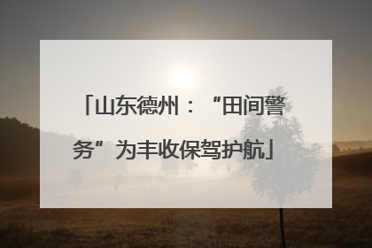 山东德州：“田间警务”为丰收保驾护航