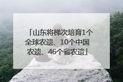 山东将梯次培育1个全球农遗、10个中国农遗、46个省农遗