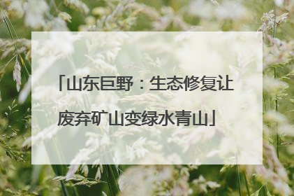 山东巨野：生态修复让废弃矿山变绿水青山