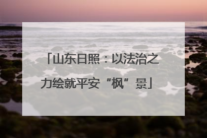 山东日照：以法治之力绘就平安“枫”景