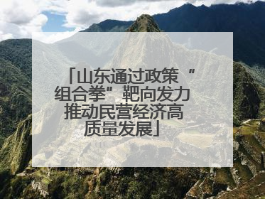 山东通过政策“组合拳”靶向发力 推动民营经济高质量发展