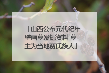 山西公布元代纪年壁画墓发掘资料 墓主为当地贾氏族人