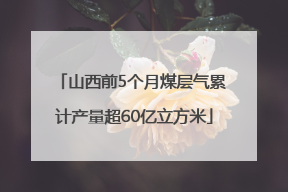 山西前5个月煤层气累计产量超60亿立方米