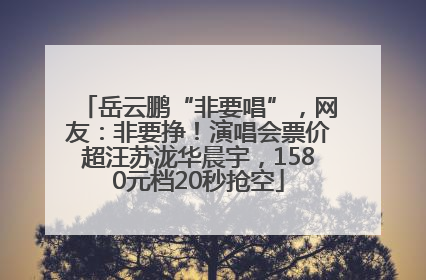 岳云鹏“非要唱”，网友：非要挣！演唱会票价超汪苏泷华晨宇，1580元档20秒抢空