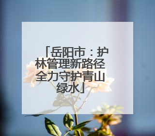岳阳市：护林管理新路径全力守护青山绿水