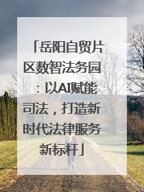 岳阳自贸片区数智法务园：以AI赋能司法，打造新时代法律服务新标杆
