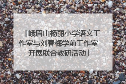 峨眉山杨丽小学语文工作室与刘春梅学前工作室开展联合教研活动