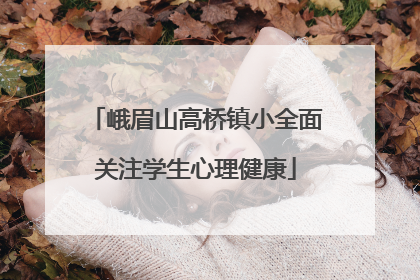 峨眉山高桥镇小全面关注学生心理健康