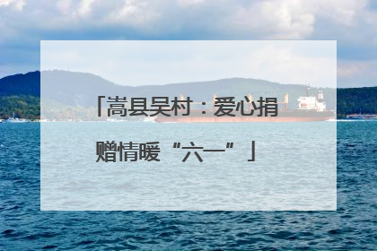 嵩县吴村：爱心捐赠情暖“六一”