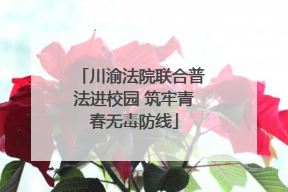 川渝法院联合普法进校园 筑牢青春无毒防线