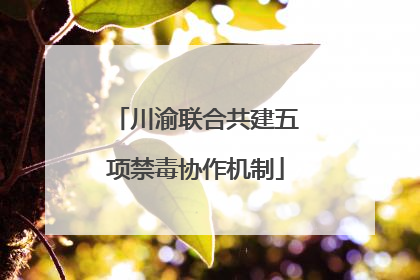 川渝联合共建五项禁毒协作机制