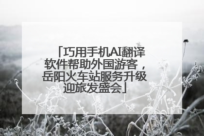 巧用手机AI翻译软件帮助外国游客，岳阳火车站服务升级迎旅发盛会