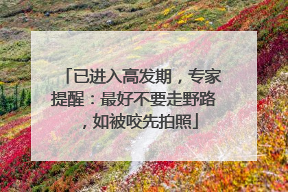 已进入高发期，专家提醒：最好不要走野路，如被咬先拍照