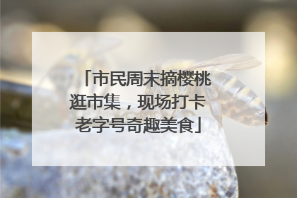 市民周末摘樱桃逛市集，现场打卡老字号奇趣美食
