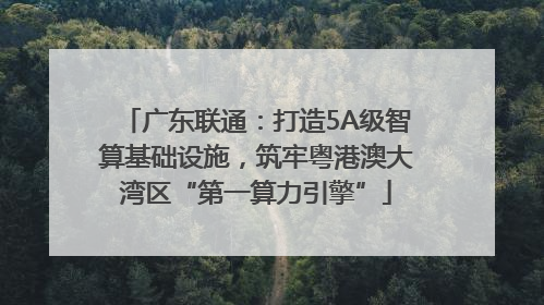 广东联通：打造5A级智算基础设施，筑牢粤港澳大湾区“第一算力引擎”