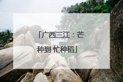 广西三江：芒种到 忙种稻