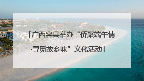 广西容县举办“侨聚端午情·寻觅故乡味”文化活动