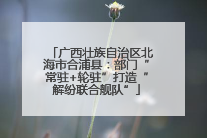 广西壮族自治区北海市合浦县：部门“常驻+轮驻”打造“解纷联合舰队”