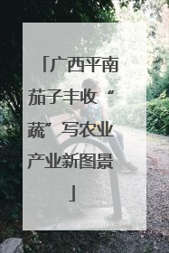 广西平南茄子丰收“蔬”写农业产业新图景