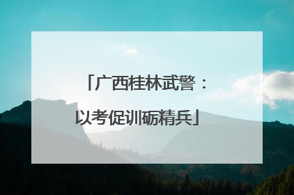 广西桂林武警：以考促训砺精兵