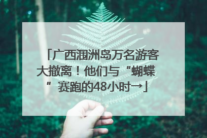 广西涠洲岛万名游客大撤离！他们与“蝴蝶”赛跑的48小时→