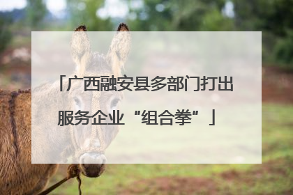 广西融安县多部门打出服务企业“组合拳”