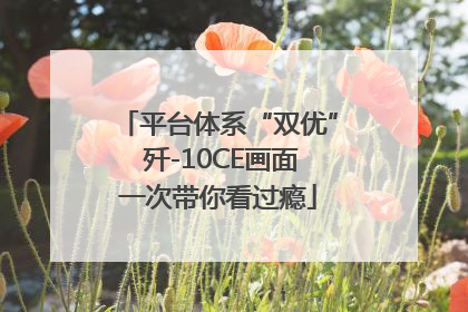 平台体系“双优” 歼-10CE画面一次带你看过瘾