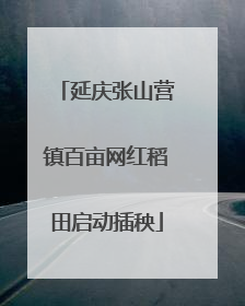 延庆张山营镇百亩网红稻田启动插秧