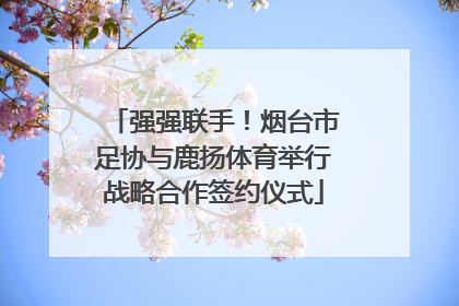 强强联手！烟台市足协与鹿扬体育举行战略合作签约仪式