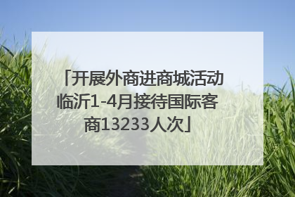 开展外商进商城活动 临沂1-4月接待国际客商13233人次