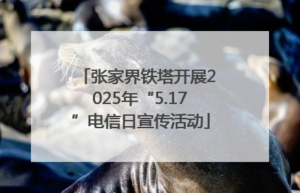 张家界铁塔开展2025年“5.17”电信日宣传活动