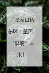 张家口桥东区：童声“唱响”未来