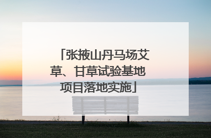 张掖山丹马场艾草、甘草试验基地项目落地实施