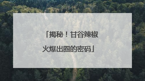 揭秘！甘谷辣椒火爆出圈的密码