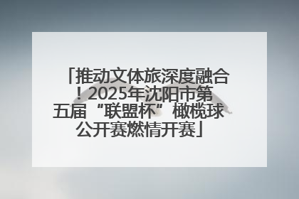 推动文体旅深度融合！2025年沈阳市第五届“联盟杯”橄榄球公开赛燃情开赛