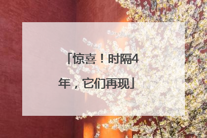 惊喜！时隔4年，它们再现