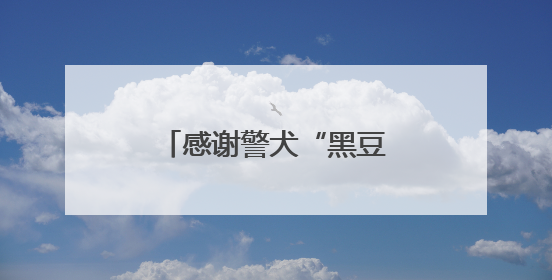 感谢警犬“黑豆”带路！民警深山寻回75岁老人