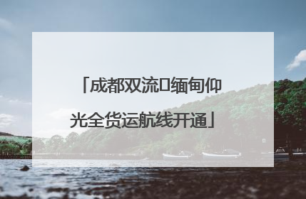 成都双流⇌缅甸仰光全货运航线开通