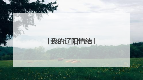 我的辽阳情结