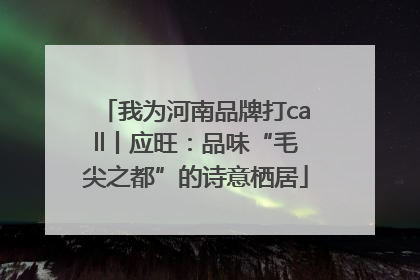 我为河南品牌打call丨应旺：品味“毛尖之都”的诗意栖居