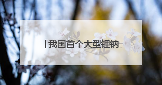 我国首个大型锂钠混合储能站投产