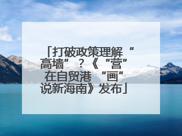 打破政策理解“高墙”？《“营”在自贸港 “画”说新海南》发布