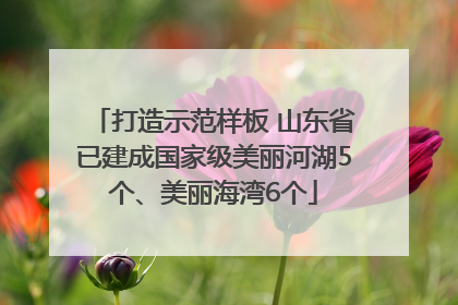 打造示范样板 山东省已建成国家级美丽河湖5个、美丽海湾6个