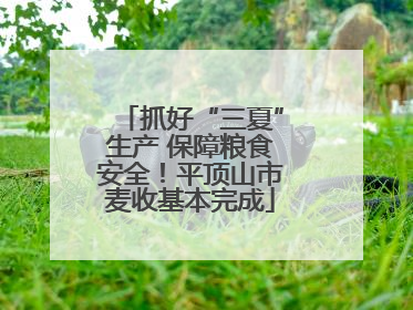 抓好“三夏”生产 保障粮食安全！平顶山市麦收基本完成