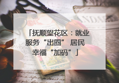 抚顺望花区：就业服务“出圈” 居民幸福“加码”