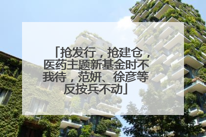 抢发行，抢建仓，医药主题新基金时不我待，范妍、徐彦等反按兵不动